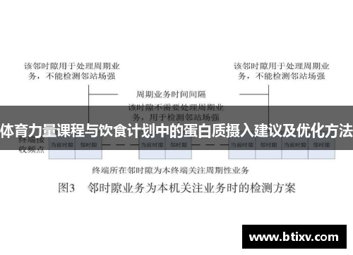体育力量课程与饮食计划中的蛋白质摄入建议及优化方法