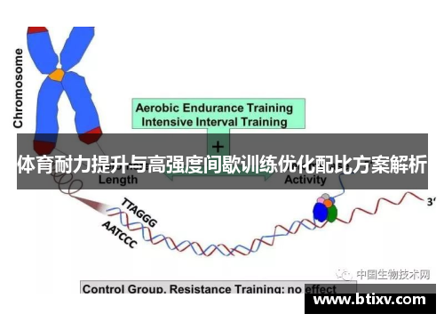 体育耐力提升与高强度间歇训练优化配比方案解析