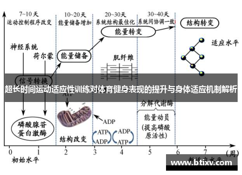 超长时间运动适应性训练对体育健身表现的提升与身体适应机制解析